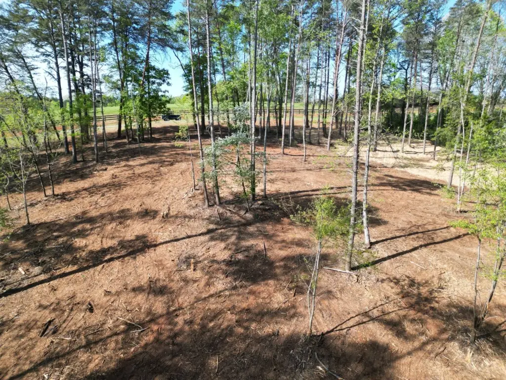 Picture 15