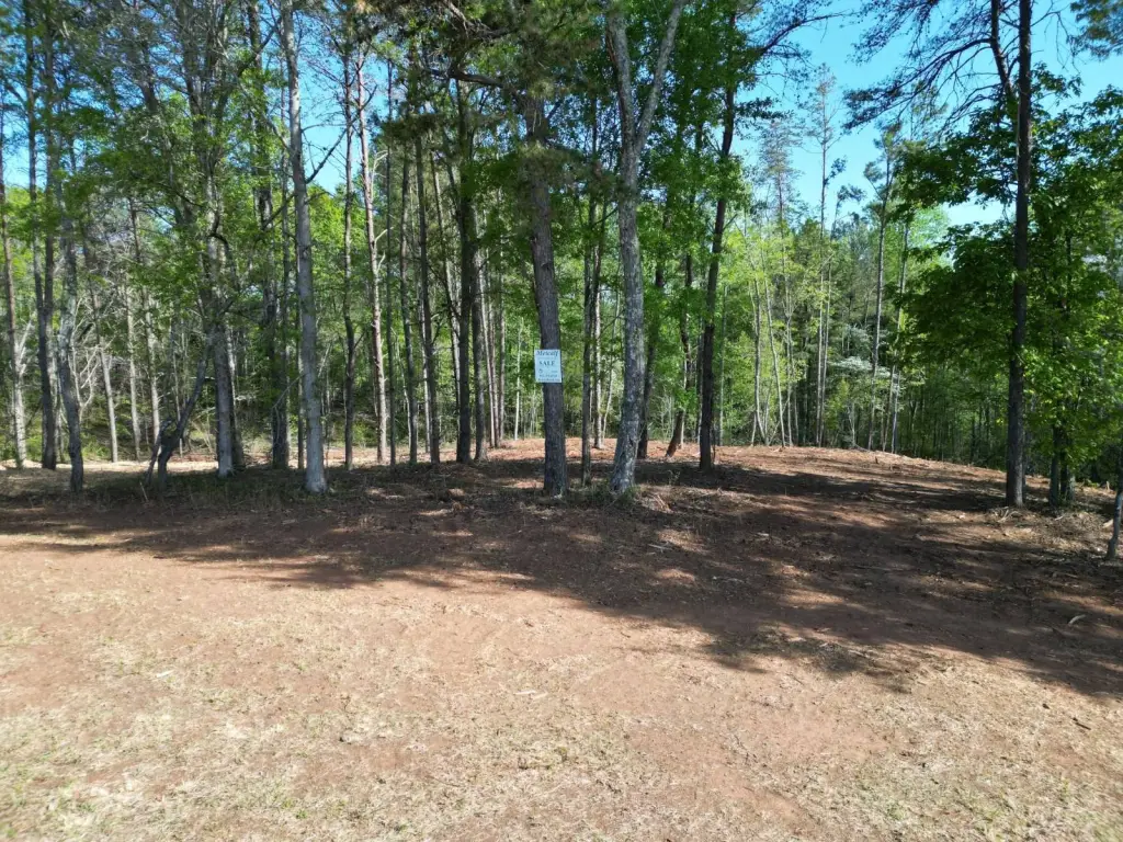 Picture 10