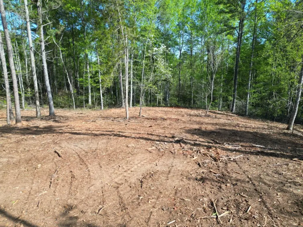 Picture 13