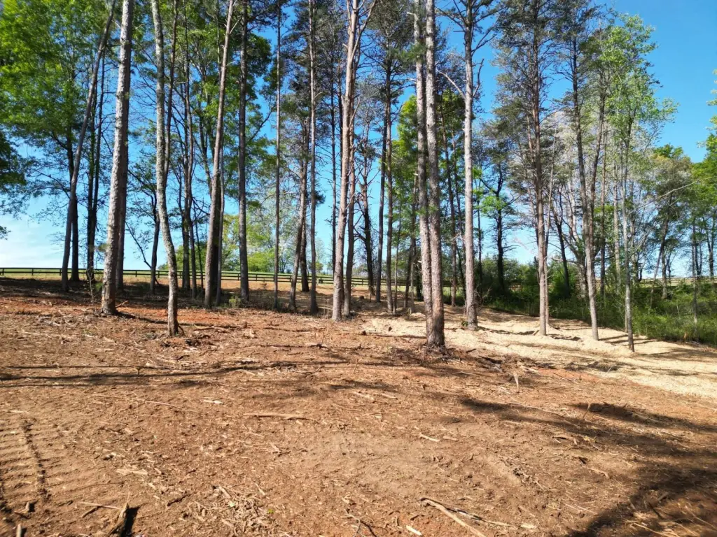 Picture 16