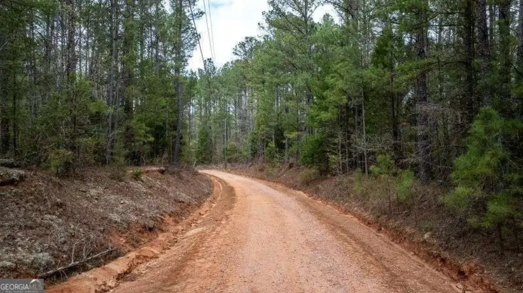 Picture 11