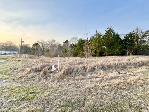 Chatom, AL Buildable Vacant Land