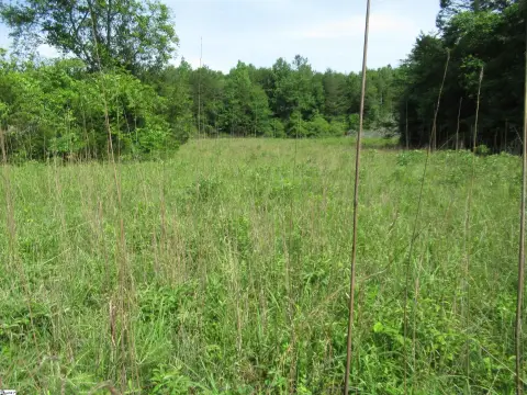 26 Acres in Pickens, SC