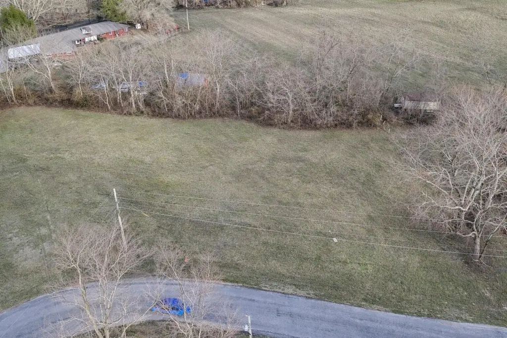 Picture 11