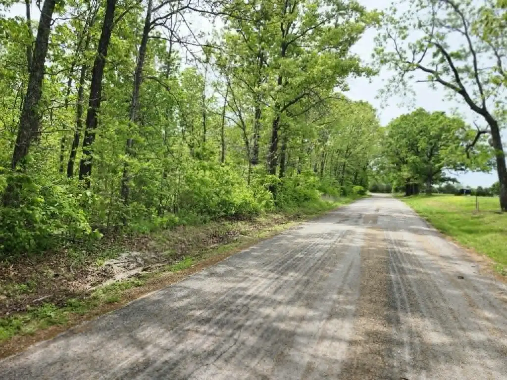 Picture 7