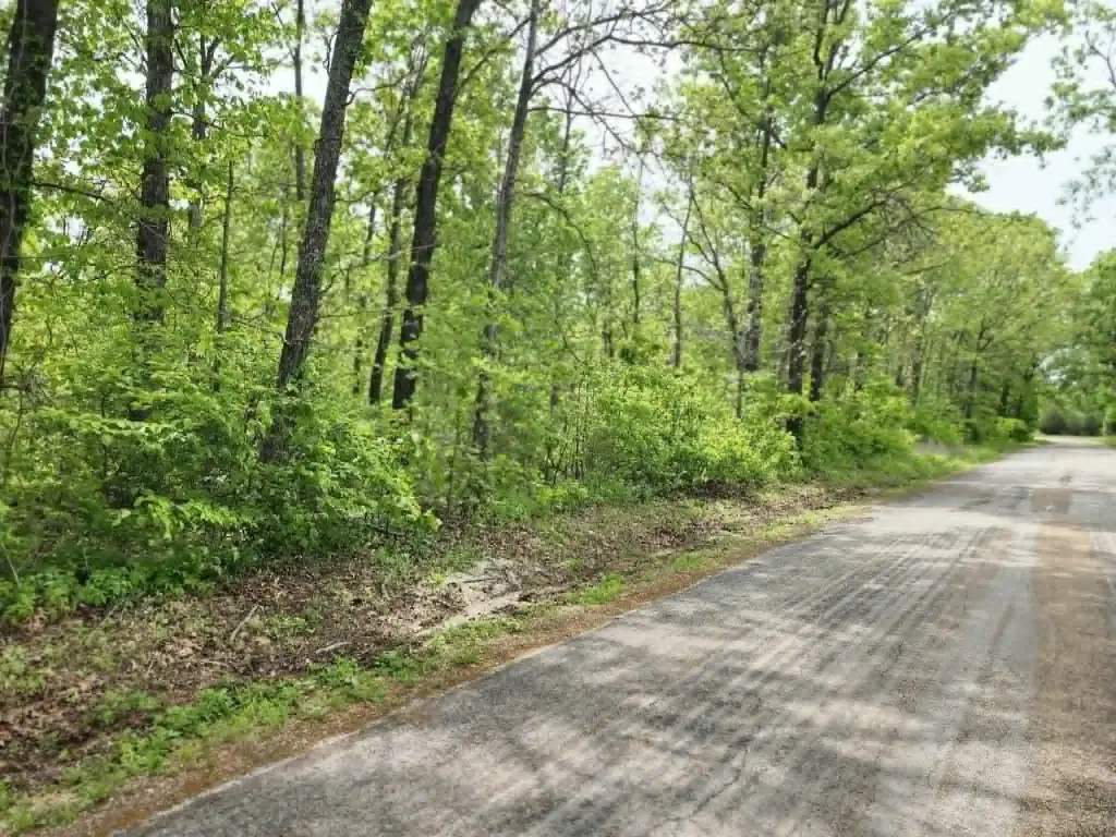 Picture 2