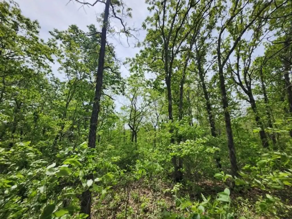 Picture 5