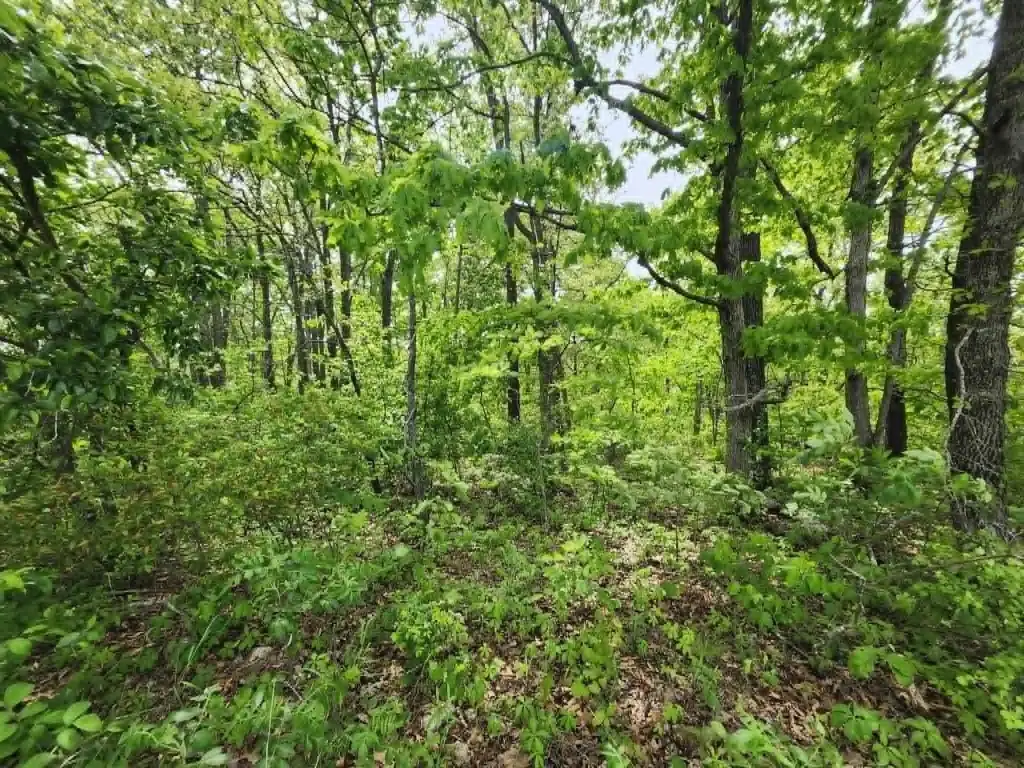 Picture 6
