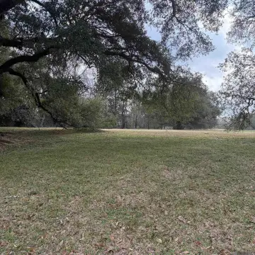 8+ Acre Homesite in Baton Rouge