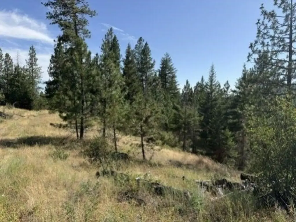 Picture 37