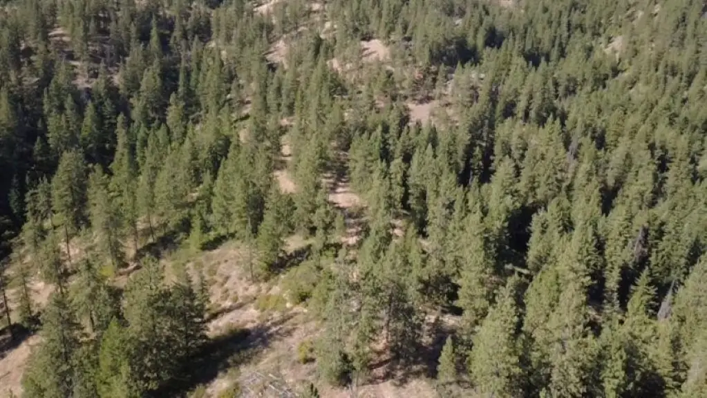 Picture 16