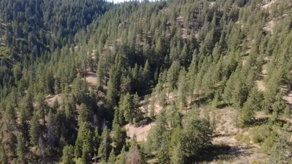 Picture 14