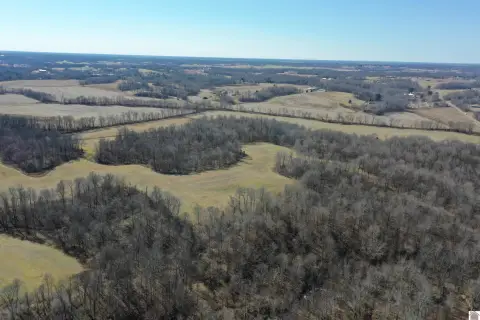121 Acres in Graves County