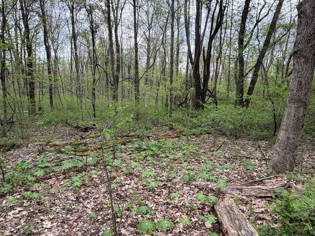 Picture 18