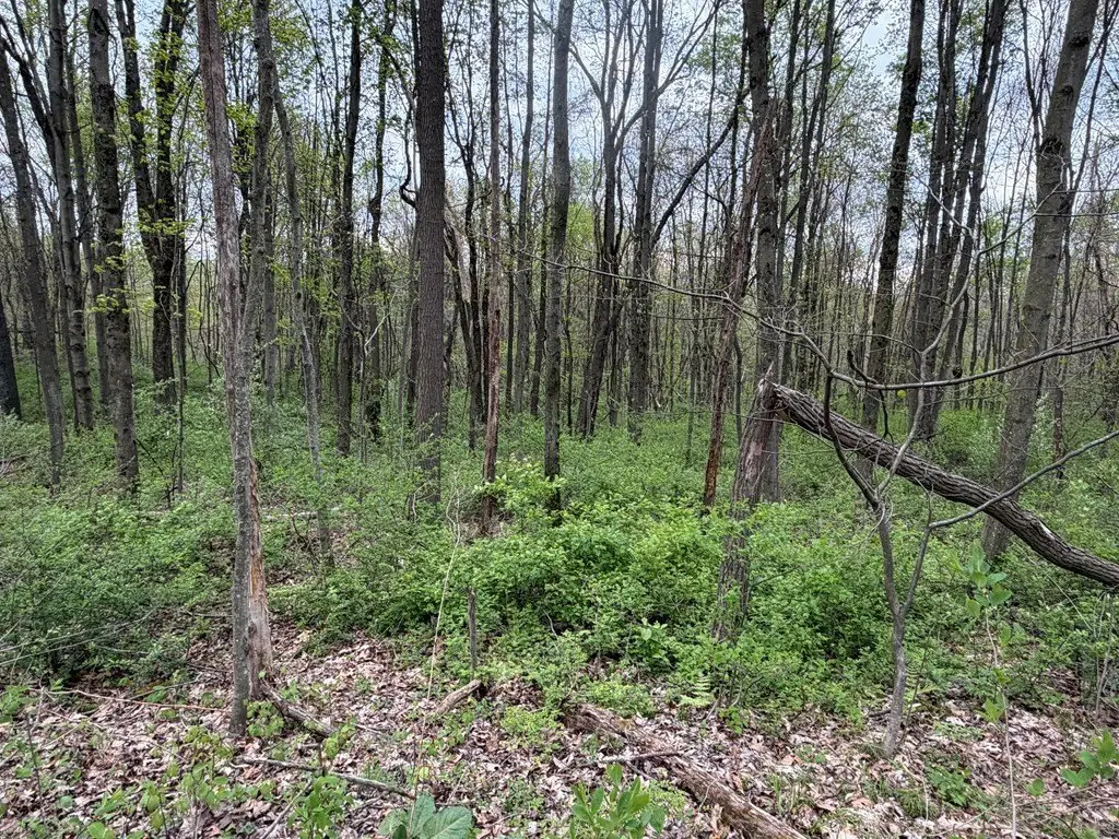 Picture 16