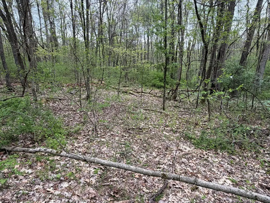 Picture 17
