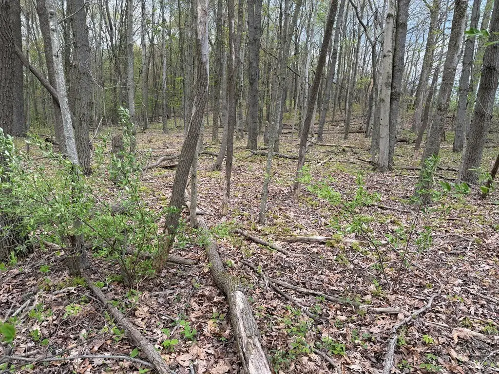 Picture 14