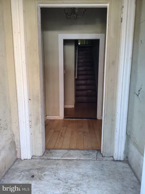 Picture 4