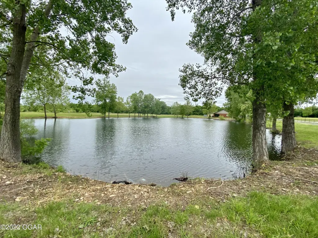 Picture 20