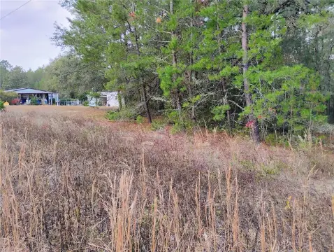 Buildable Lot in Interlachen, FL