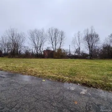 Detroit Vacant Land For Sale