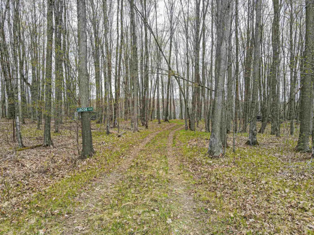 Picture 14