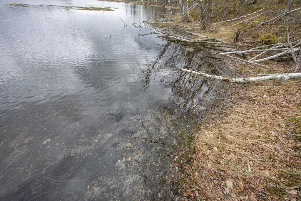Picture 22