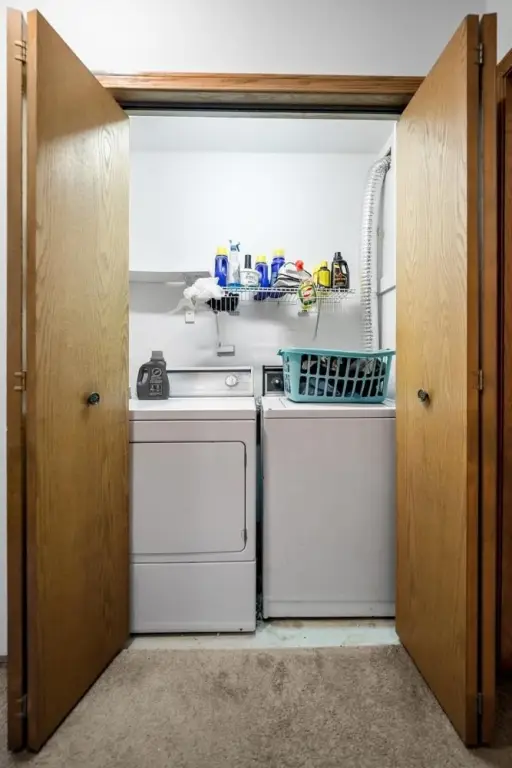 Picture 37
