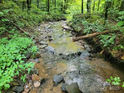 125 Acres Prime Hunting Land