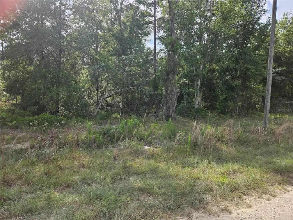 Picture 2