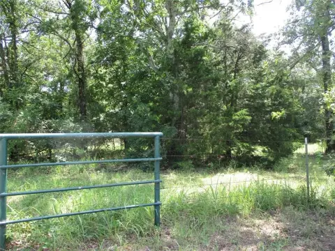 Wooded Land Near Lake Tawakoni