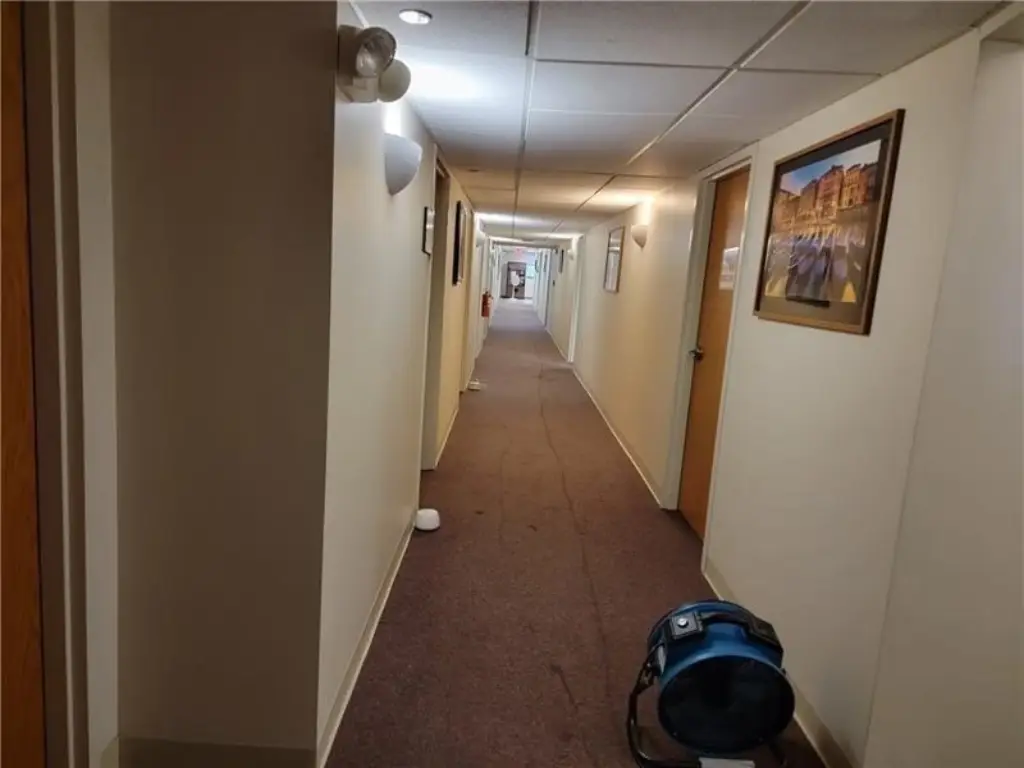 Picture 27