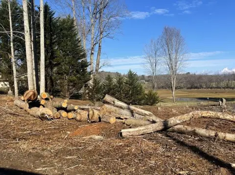 Hayesville Homesite with Mountain Views