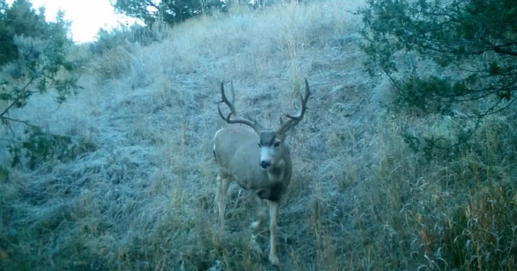 Picture 4