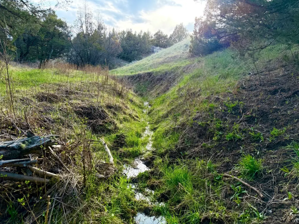 Picture 9