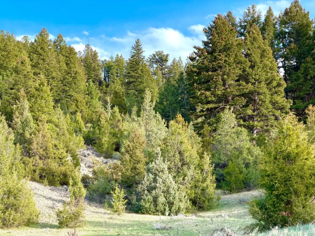 Picture 19