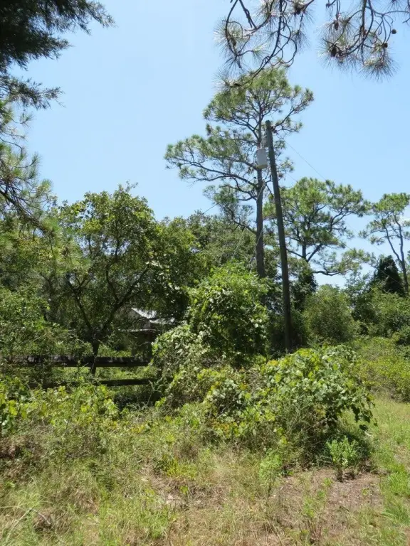 Picture 5