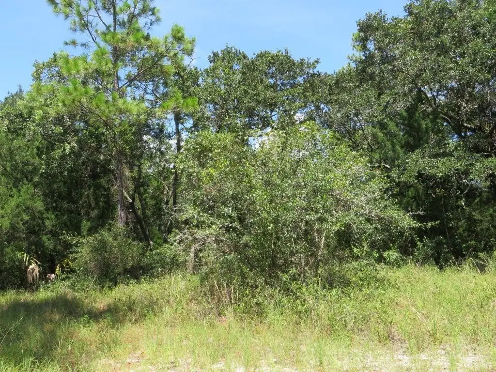Picture 35