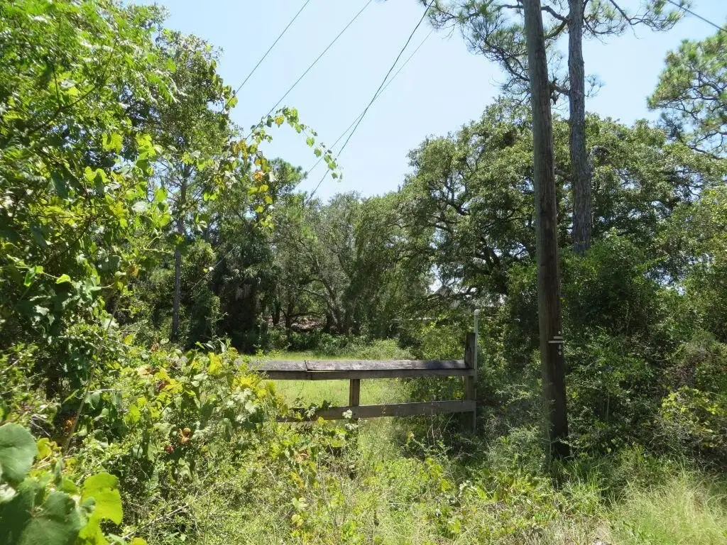 Picture 4
