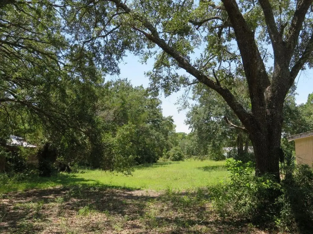 Picture 38