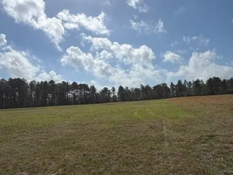 Poplarville Land with Wooded Areas