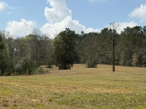 32 Acres in Poplarville