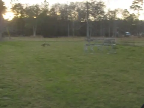 Cleared Land with Pond