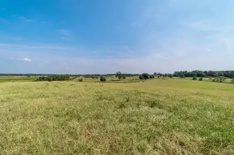 Poplarville, MS Vacant Land