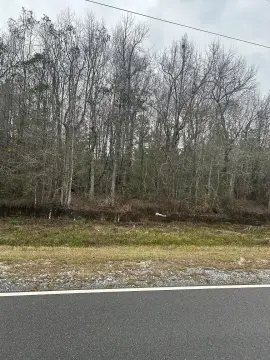 Carriere Vacant Land Opportunity