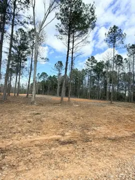 45 Acre Wooded Lot