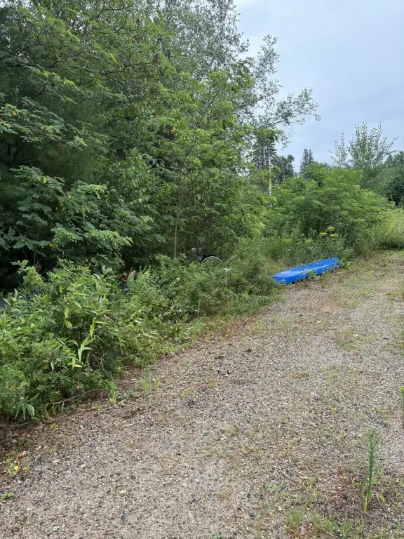 Picture 11