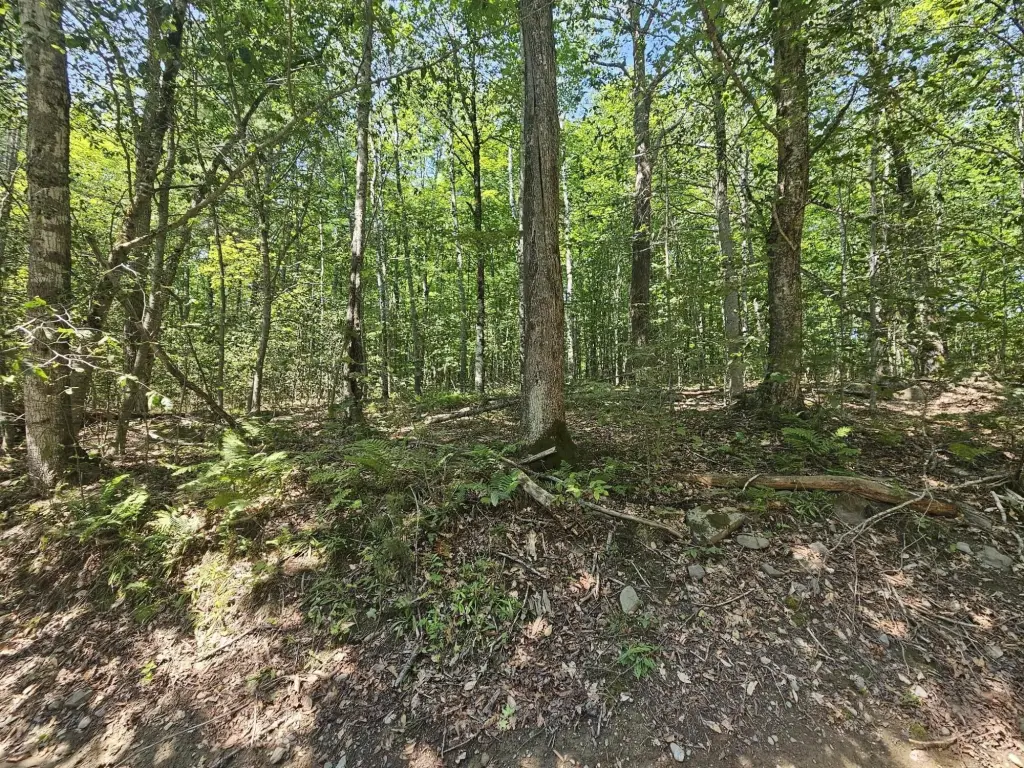 Picture 9