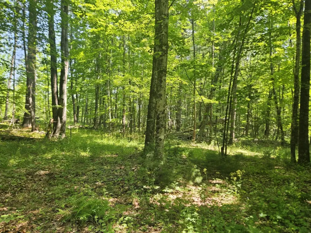 Picture 11