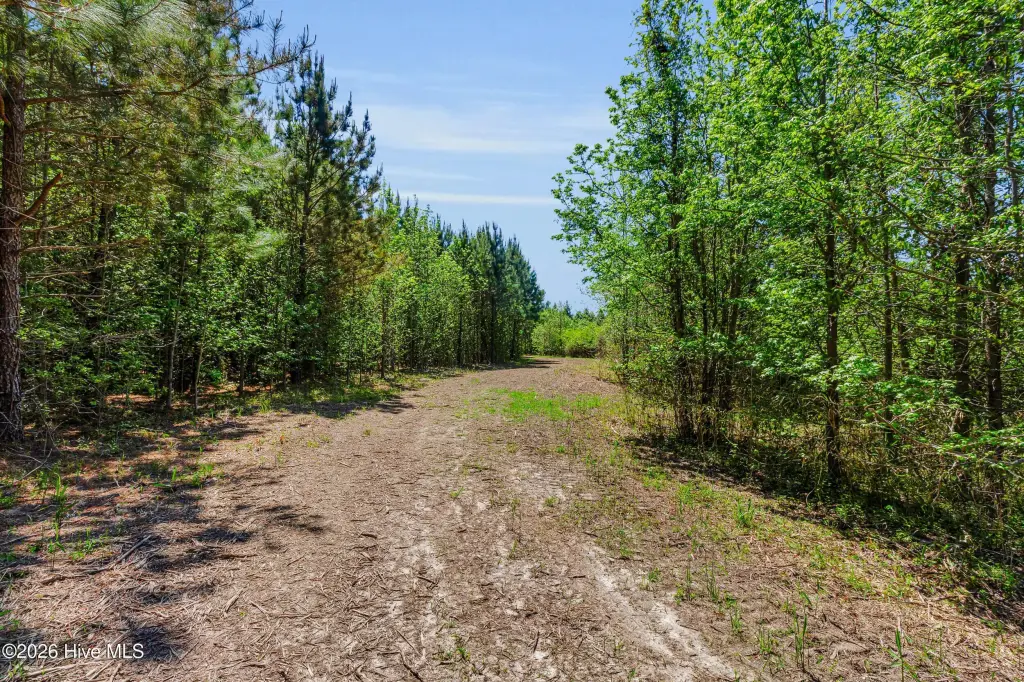 Picture 30